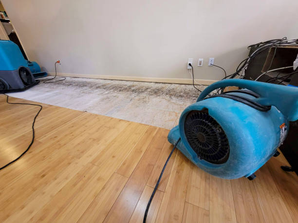 Professional Flood Damage Cleanup technician working in West Farmington, OH